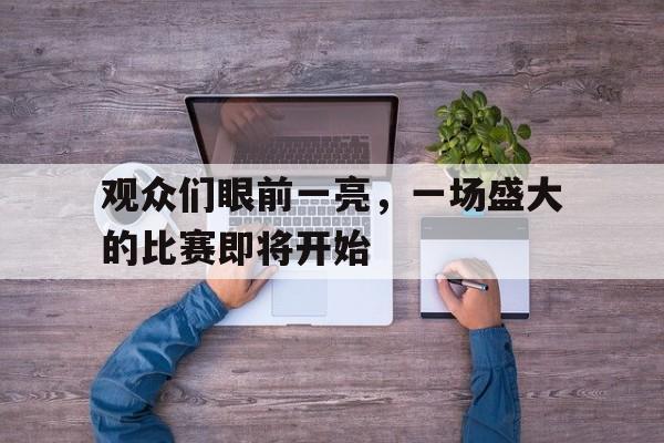 覆盖足球-观众的目光一齐注视着舞台上的精彩表演缩句